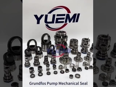 Grundfos-Pumpen mechanische Dichtung