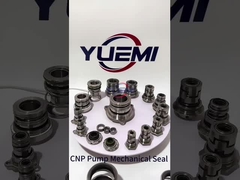 CNP CHL CHLK CHLF Ausgewogene mechanische Dichtung Gummibellow CHL-20/B1SF4