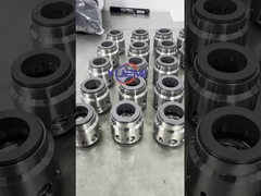 Mehrstufige Xylem ITT Lowara Sv Pumpen Mechanische Dichtung ROTEN-85EK-22