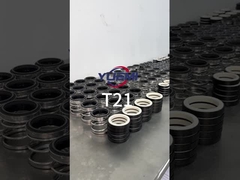 Wasserpumpe mechanische Dichtung