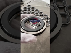 301 Einfedermechanische Dichtung(Aseal B01, Bt-Ar, Flowserve 118, Mut Fa für Cyclan B01 ersetzen