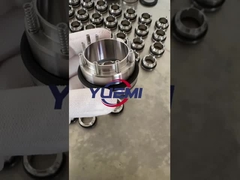 AES MSS Mechanische Dichtung für Inoxpa Pump & Prolac Pump Wasserpumpe Dichtung Carbon / Sic / Viton