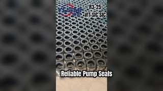 YUEMI 155 Gleitringdichtung, zuverlässig und vielseitig