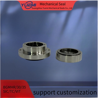 Balance-Typ Ungleichgewichte industrielle mechanische Dichtungen BGMHR 30/35