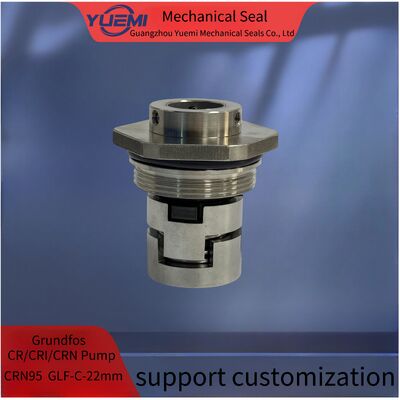 Grundfos Wasserpumpe mechanische Dichtung