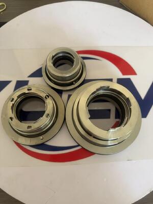 Black-mer Industrie-Wasserpumpe, abgedichtete Abwasserpumpe, Gleitringdichtung