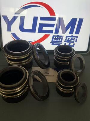 MG13/Z Heißwasserrohr Kreiselumwälzpumpe Gleitringdichtung Glf Tp/Tpd/Lp/Lm, G4 G6 G60