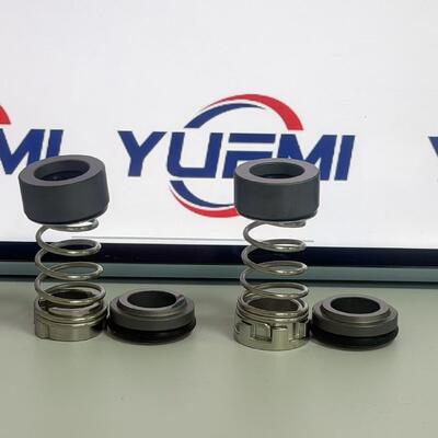 CH 2-20/30 12 mm für die Grundfos-Pumpe Aqqe Pump Cr mechanische Dichtung